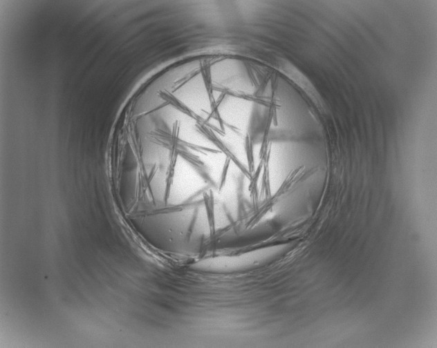 X0000074281436200609222232