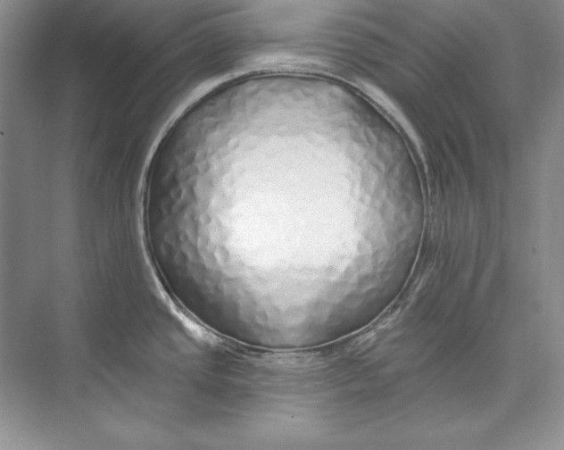 X0000074281437200609222232