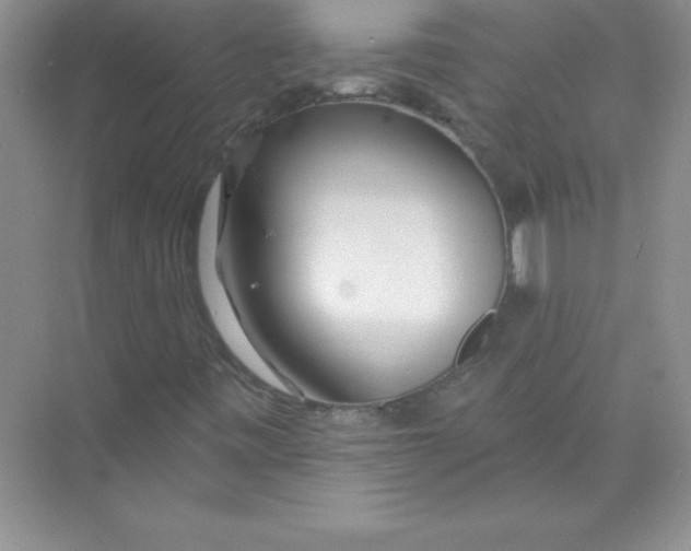 X0000074281443200609222231