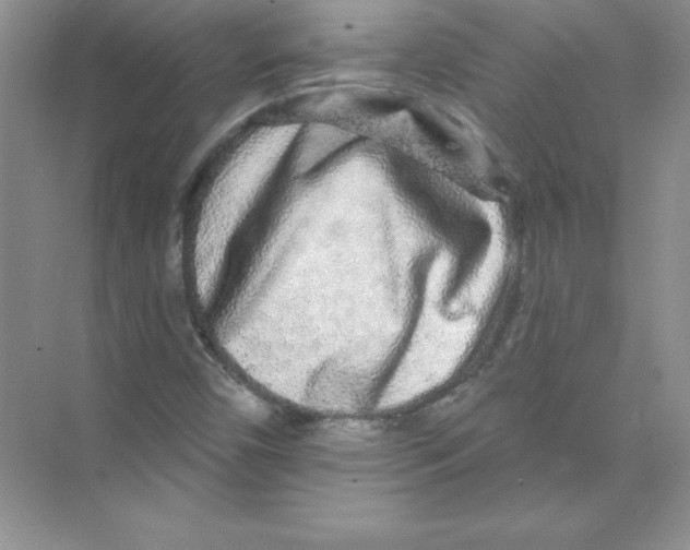 X0000074281450200609222231