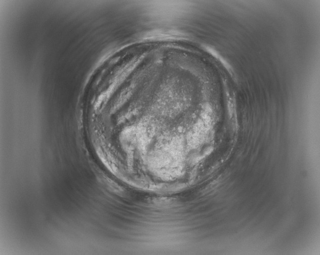 X0000074281459200609222231