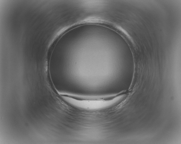 X0000074281461200609222231