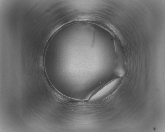 X0000074281465200609222231