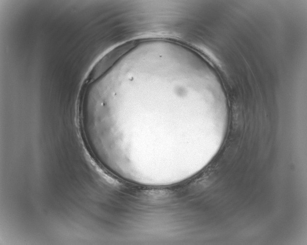 X0000074281468200609222231
