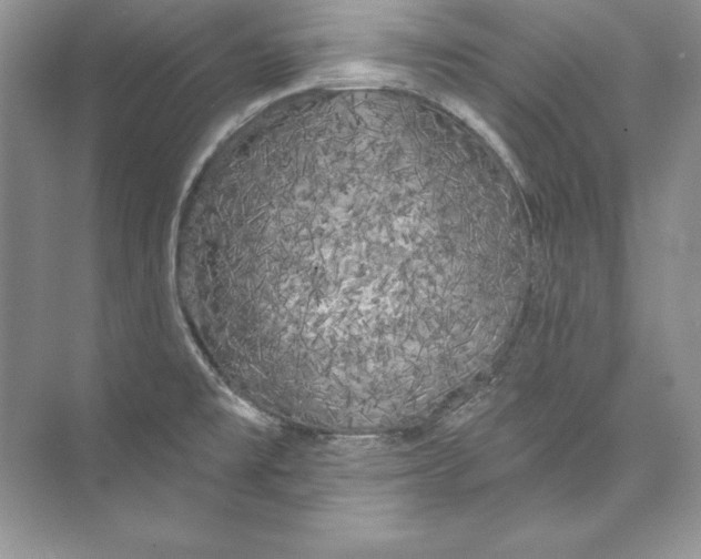 X0000074281477200609222230
