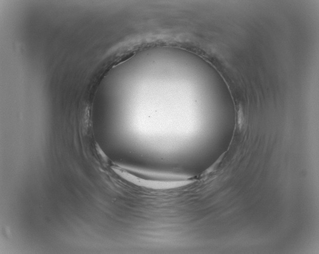 X0000074281492200609222229