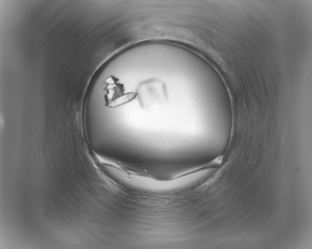 X0000074281513200609222230