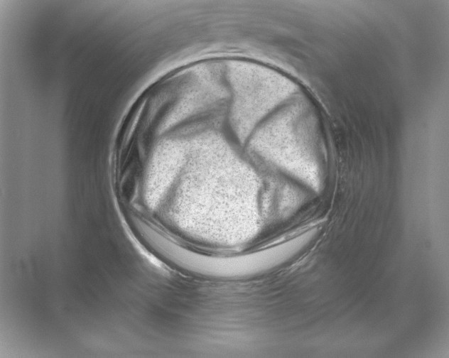X0000074281519200609222230
