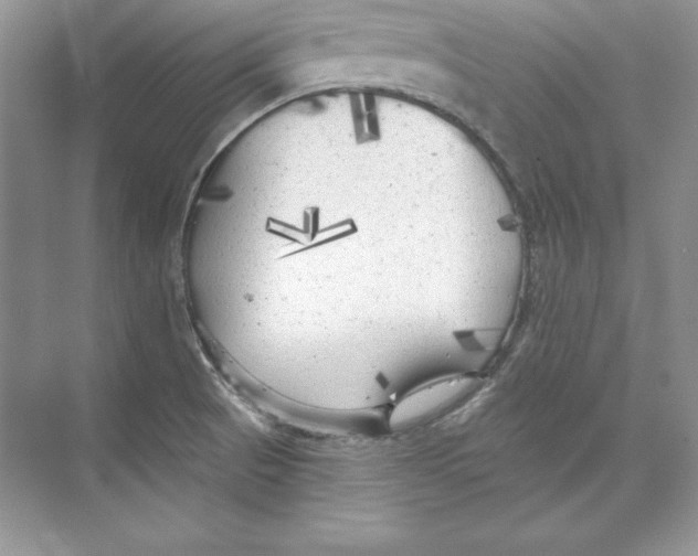 X0000074281521200609222230