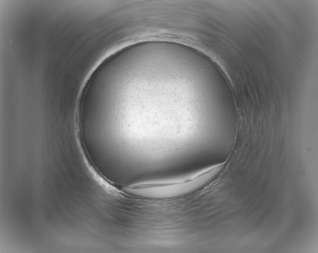 X0000074281531200609222230