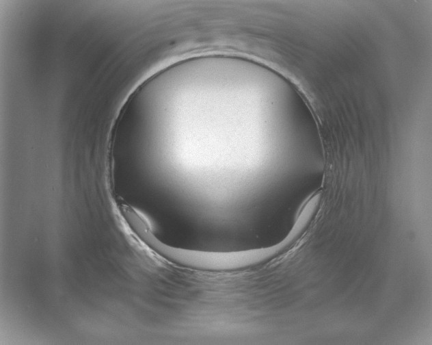 X0000074281534200609222230