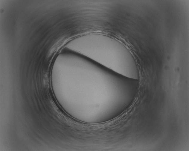 X0000074290002200608250939