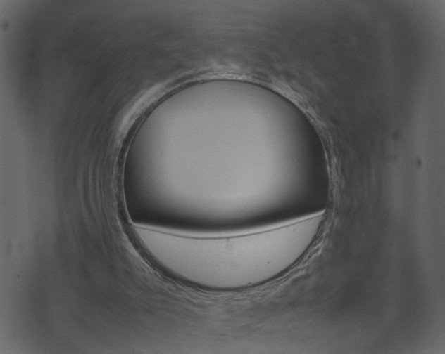 X0000074290007200608250939