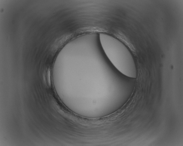 X0000074290014200608250939