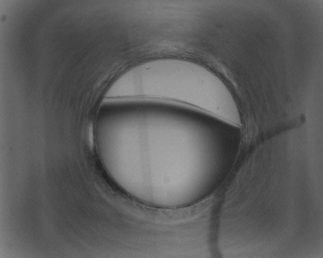 X0000074290027200608250938