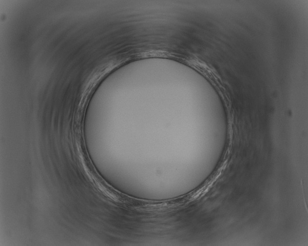 X0000074290049200608250937
