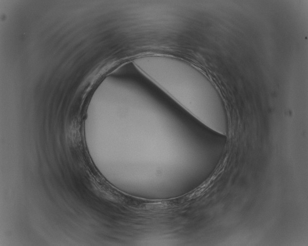 X0000074290050200608250937