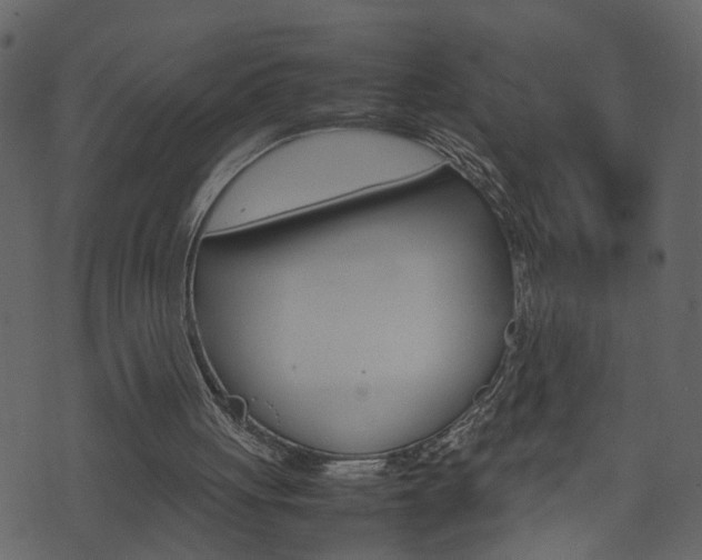 X0000074290051200608250937