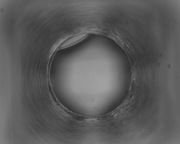 X0000074290052200608250937