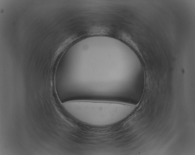 X0000074290059200608250937