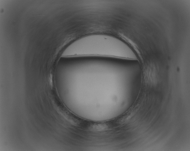 X0000074290067200608250938