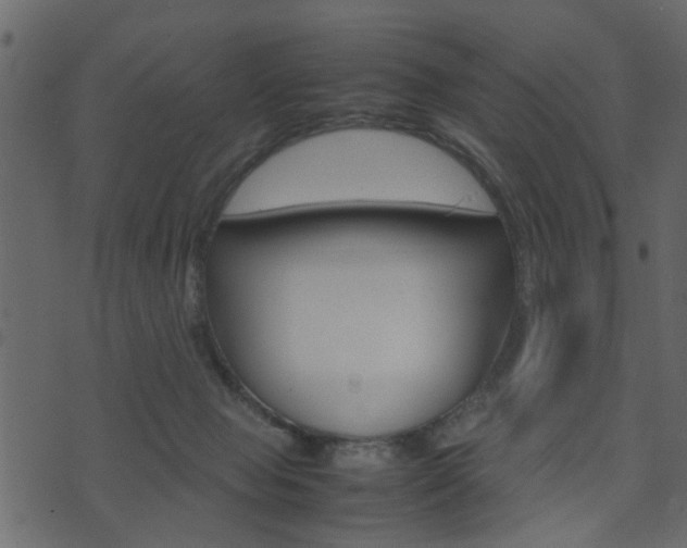 X0000074290077200608250938