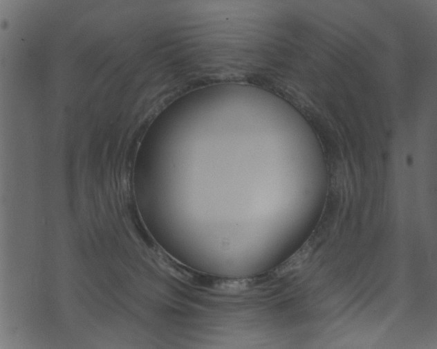 X0000074290084200608250938