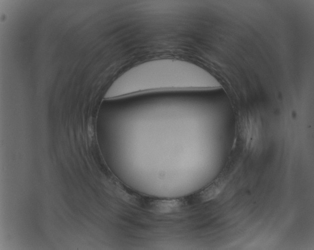 X0000074290085200608250938