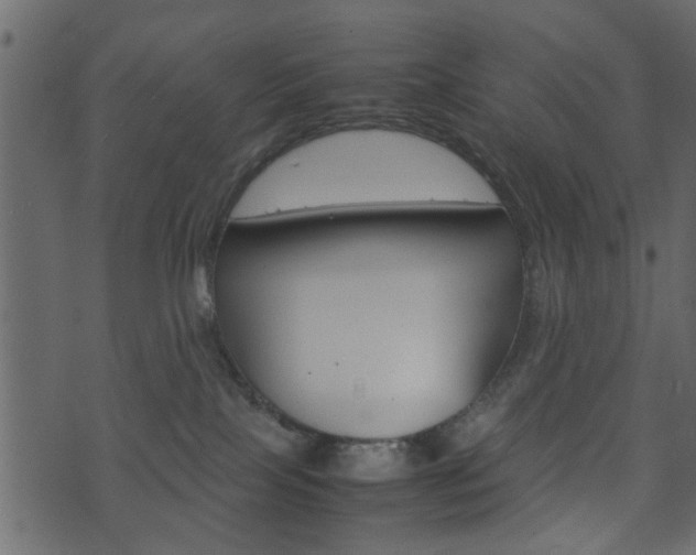 X0000074290089200608250938