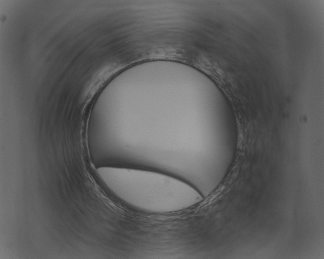 X0000074290098200608250937