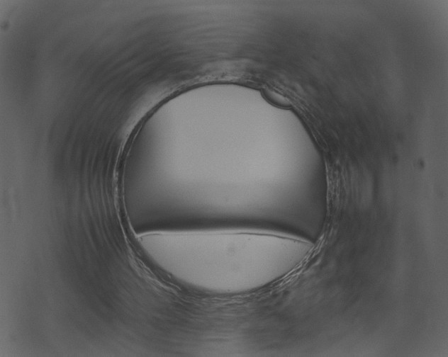 X0000074290100200608250937