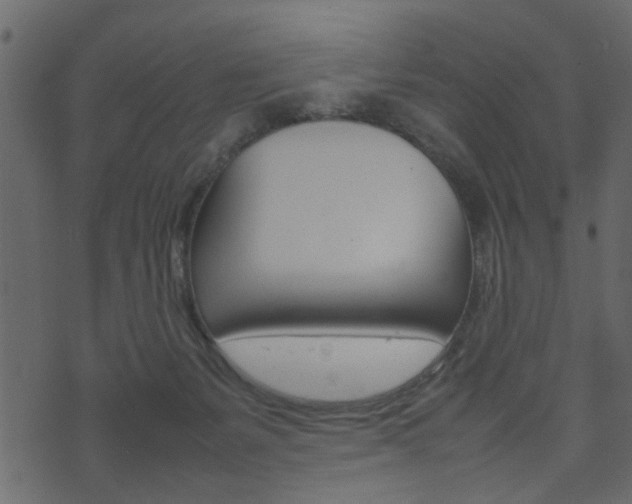X0000074290127200608250937