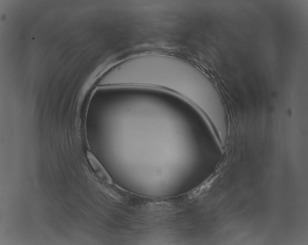 X0000074290150200608250936