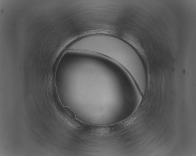 X0000074290156200608250936