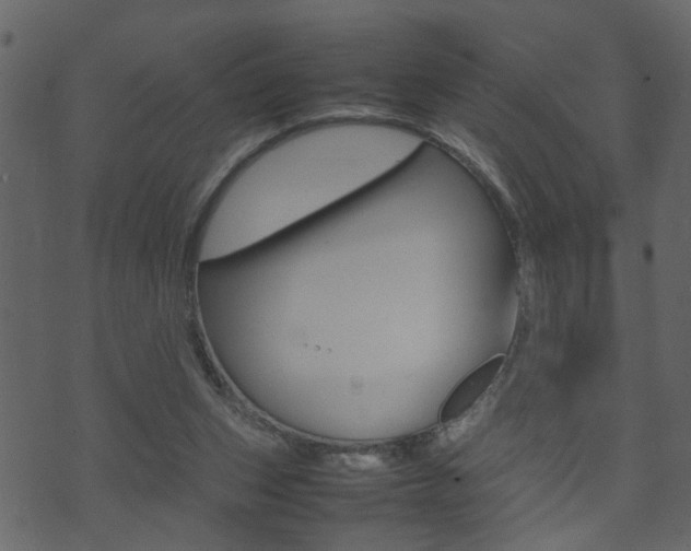 X0000074290159200608250936