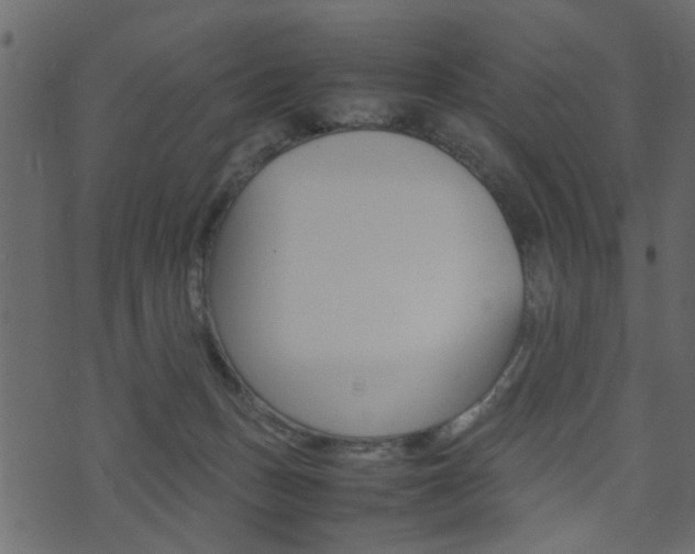 X0000074290175200608250936