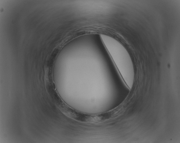 X0000074290217200608250935