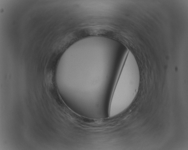 X0000074290219200608250935