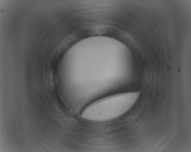 X0000074290220200608250935