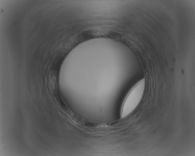 X0000074290227200608250935