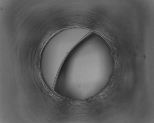 X0000074290241200608250934