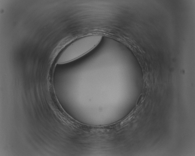 X0000074290242200608250934