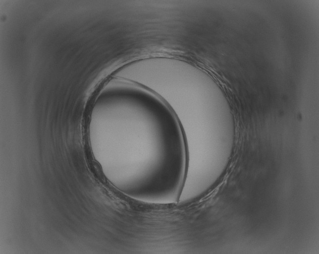 X0000074290244200608250934