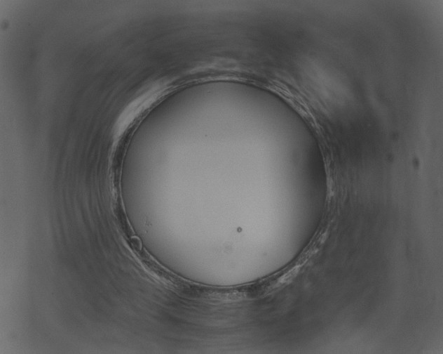 X0000074290245200608250934