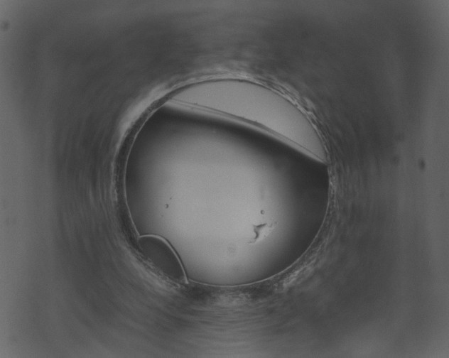 X0000074290248200608250934