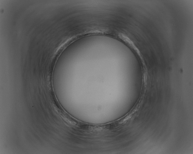 X0000074290249200608250934