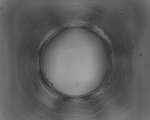 X0000074290250200608250934