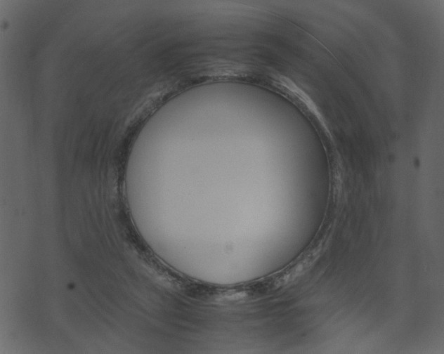 X0000074290257200608250934