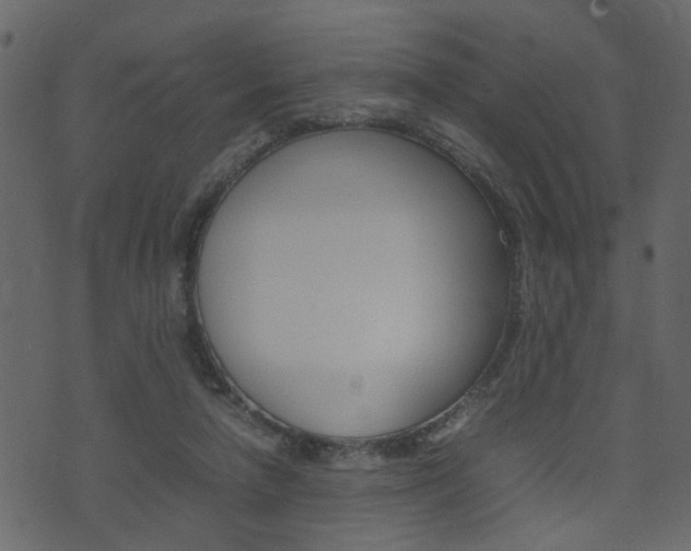 X0000074290258200608250934