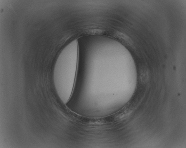 X0000074290259200608250934